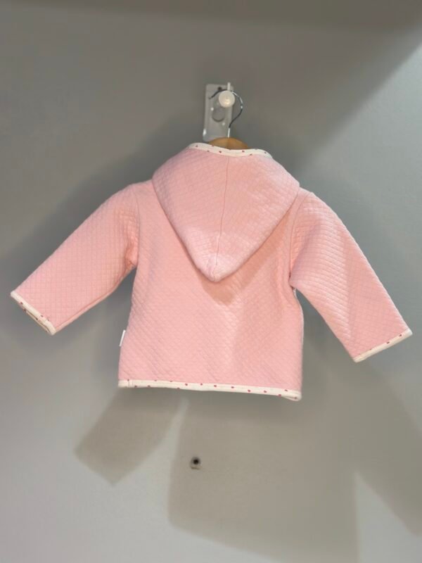 CAMPERA