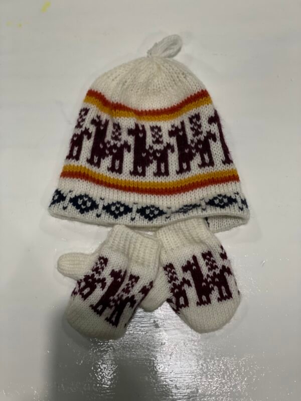IMG_1822 GORRO + GUANTES